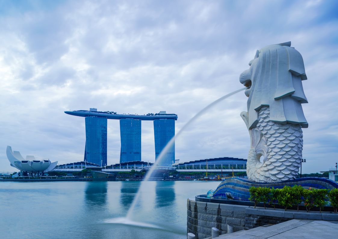 Grow a Business in Singapore