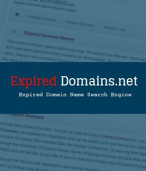 Expired Domain Name Search Engine